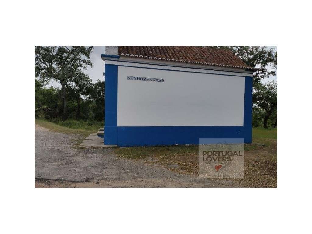Quinta com várias construções terreno 2874 m2 Galveias (Ponte de Sor)-20