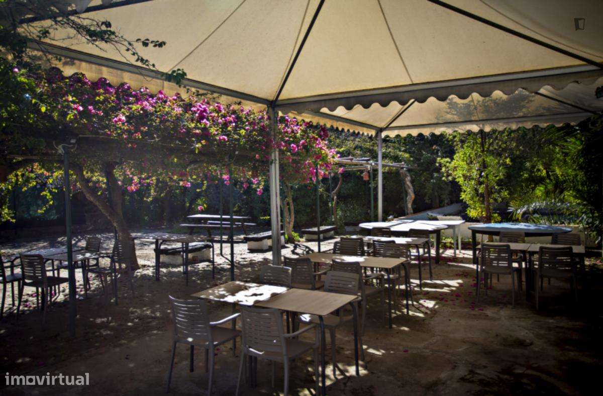 Apartamento com 1 quartos - localizado em Tavira - Grande imagem: 5/7