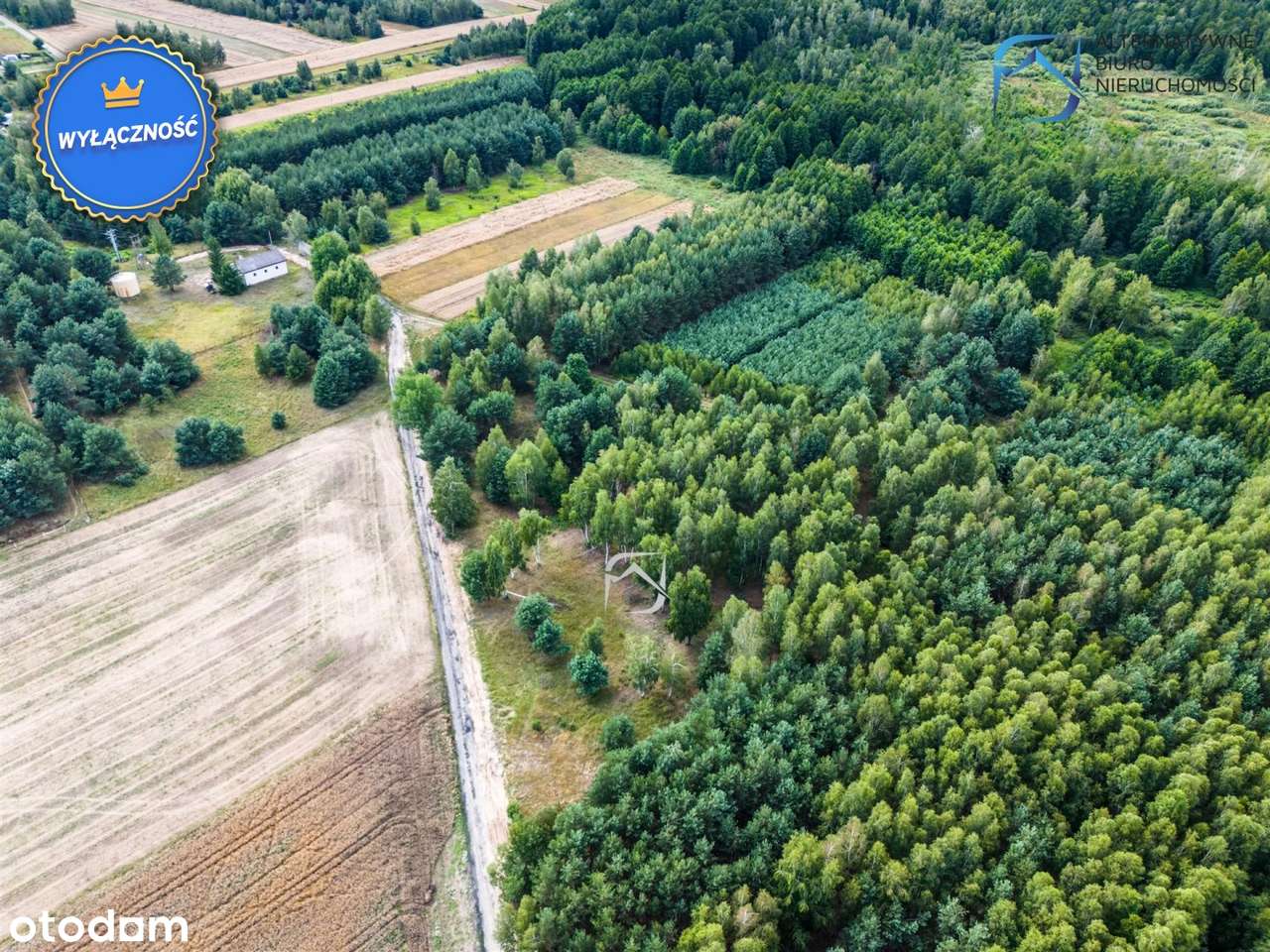 Grunt z potencjałem - 2504m2 - Serniki Kolonia - Pełny obrazek: 3/15