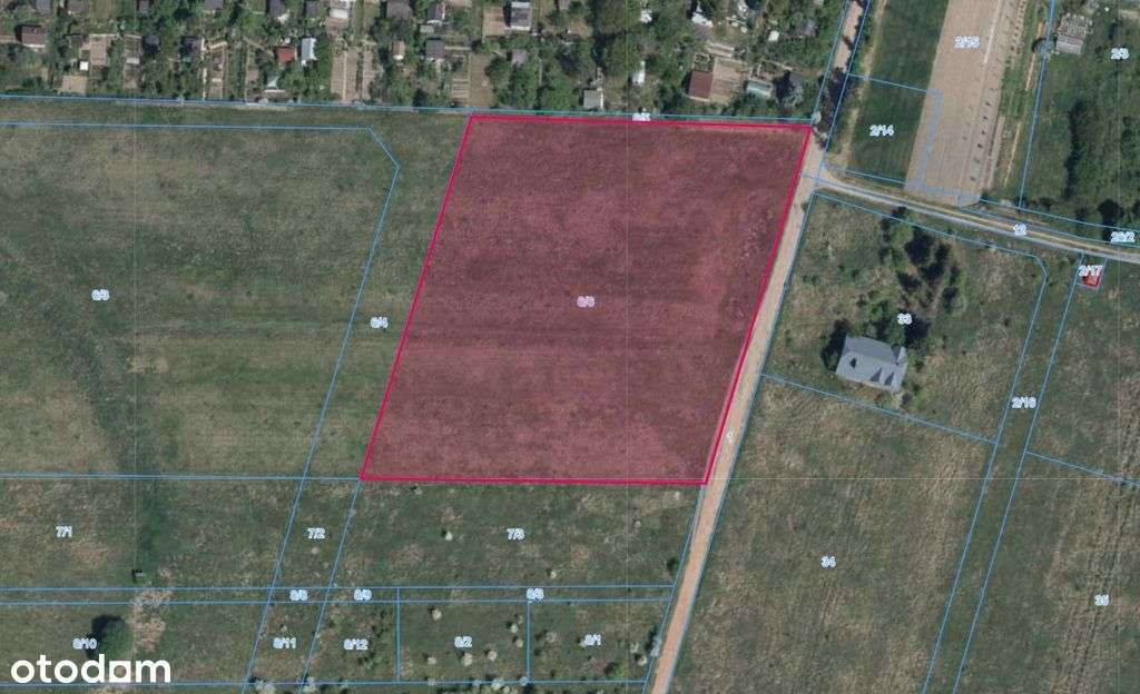 Grunt w okolicach lotniska - Pełny obrazek: 4/5