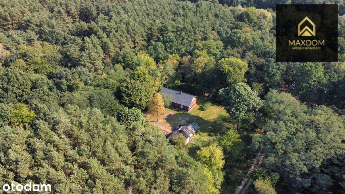 Urokliwa działka budowlana wśród lasu blisko rzeki - Pełny obrazek: 2/16