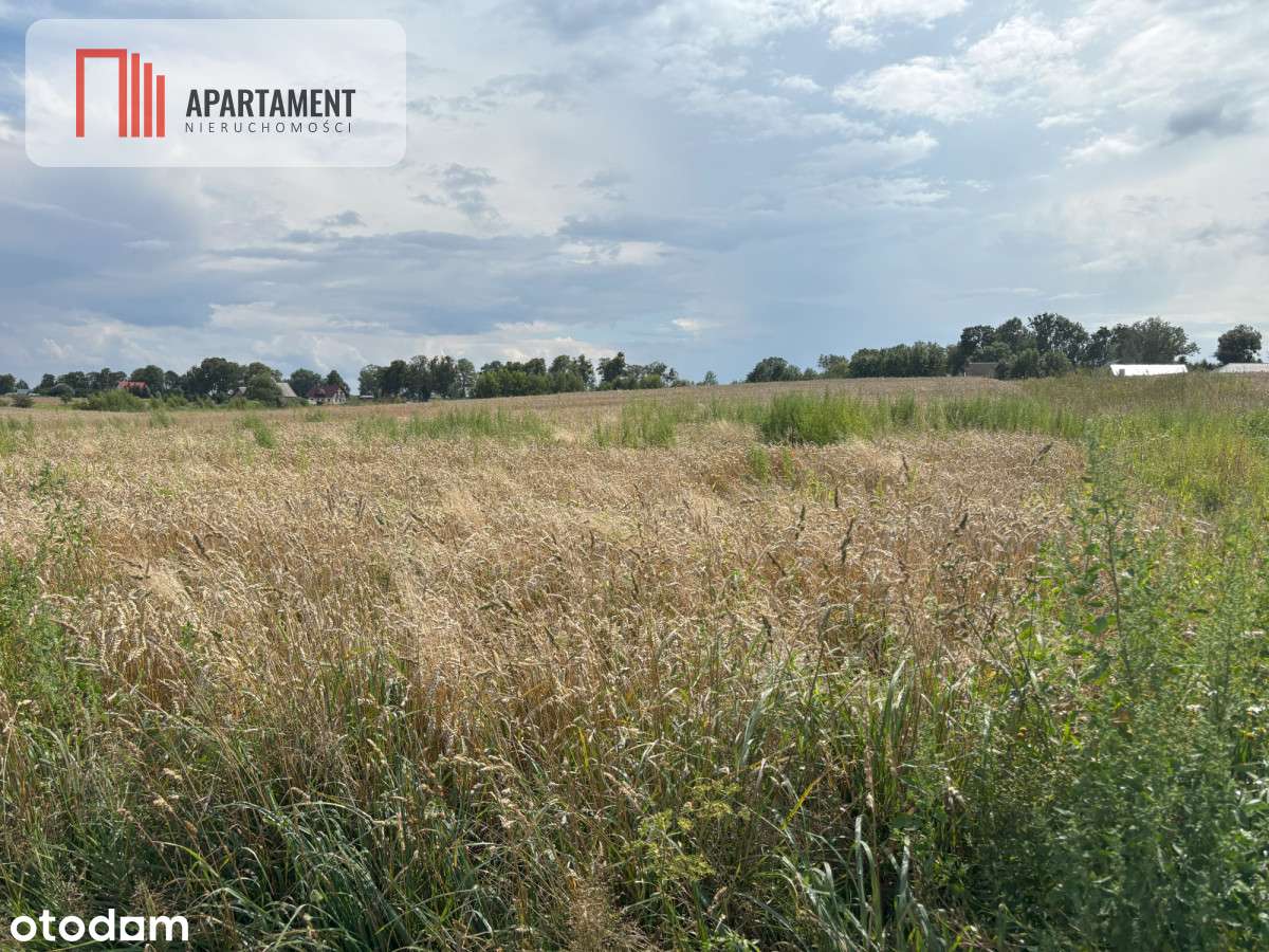 Gotowa działka budowlana Gołębiewo Wlk. - Pełny obrazek: 2/14