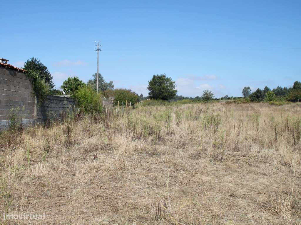 Terreno para moradias - Aveiro - Grande imagem: 3/11