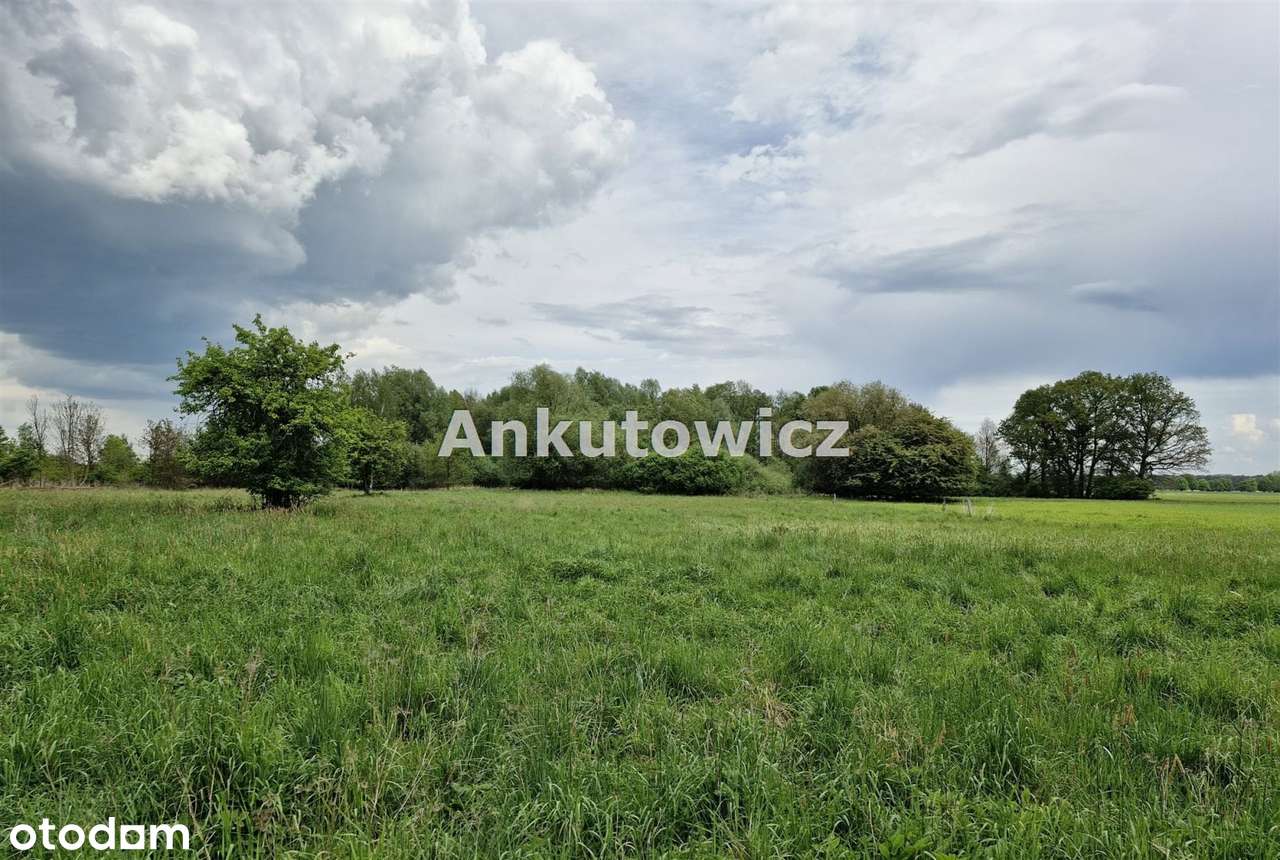 Dom na sprzedaż, Lubin (gw)-8