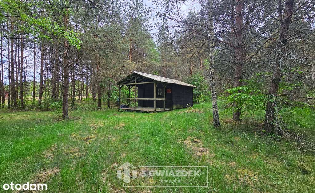 Piękna działka z leśniczowką, lasem,blisko jeziora - Pełny obrazek: 4/20