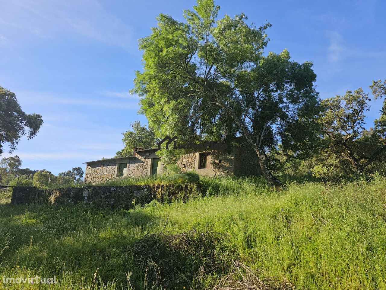 Quinta com casa em pedra