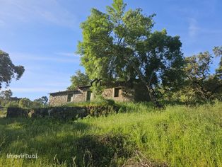 Quinta com casa em pedra