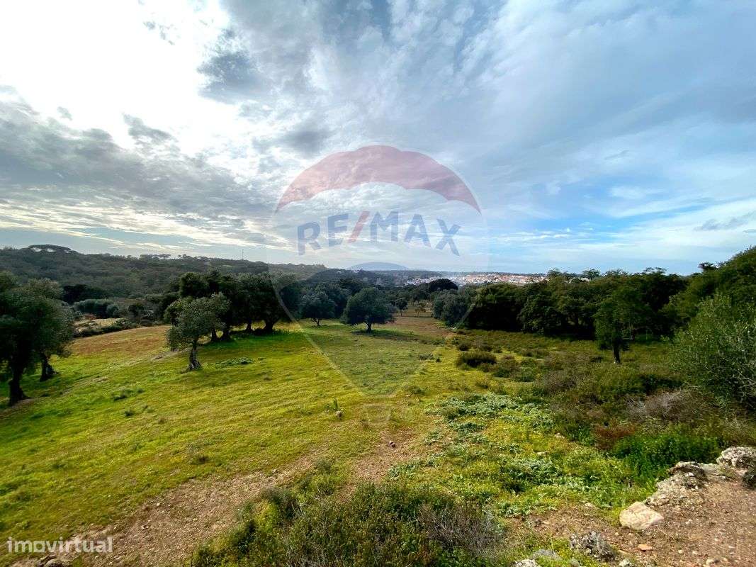 Terreno  para venda - Grande imagem: 2/16