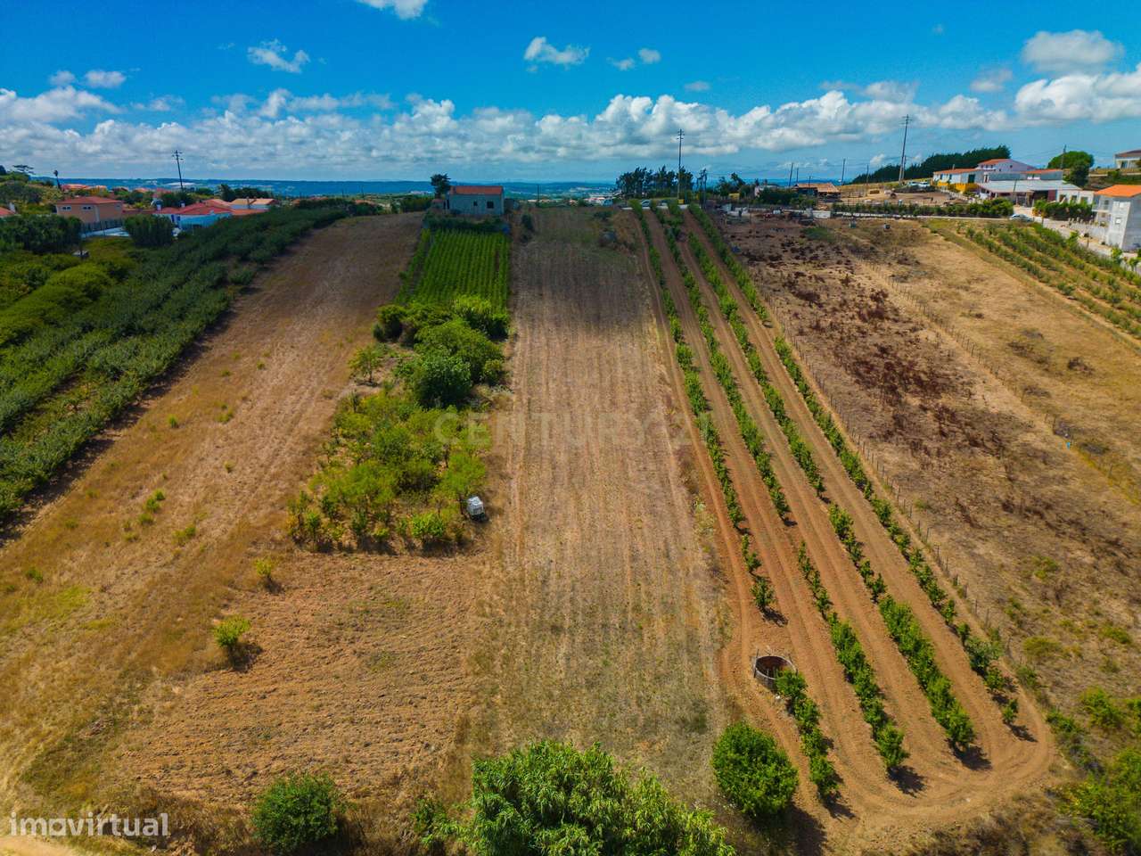 Terreno na Usseira-22