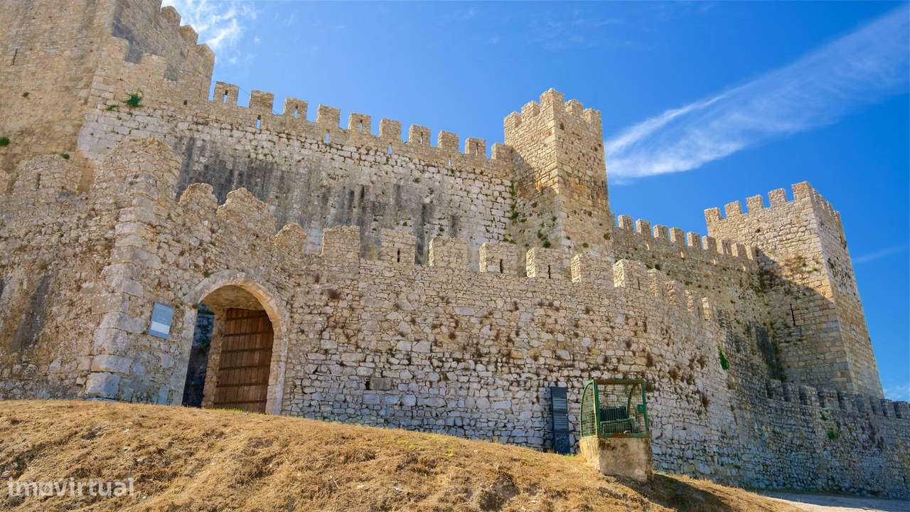 Terreno Rústico em Coimbra - Oportunidade Única por 2900€ - Grande imagem: 5/7