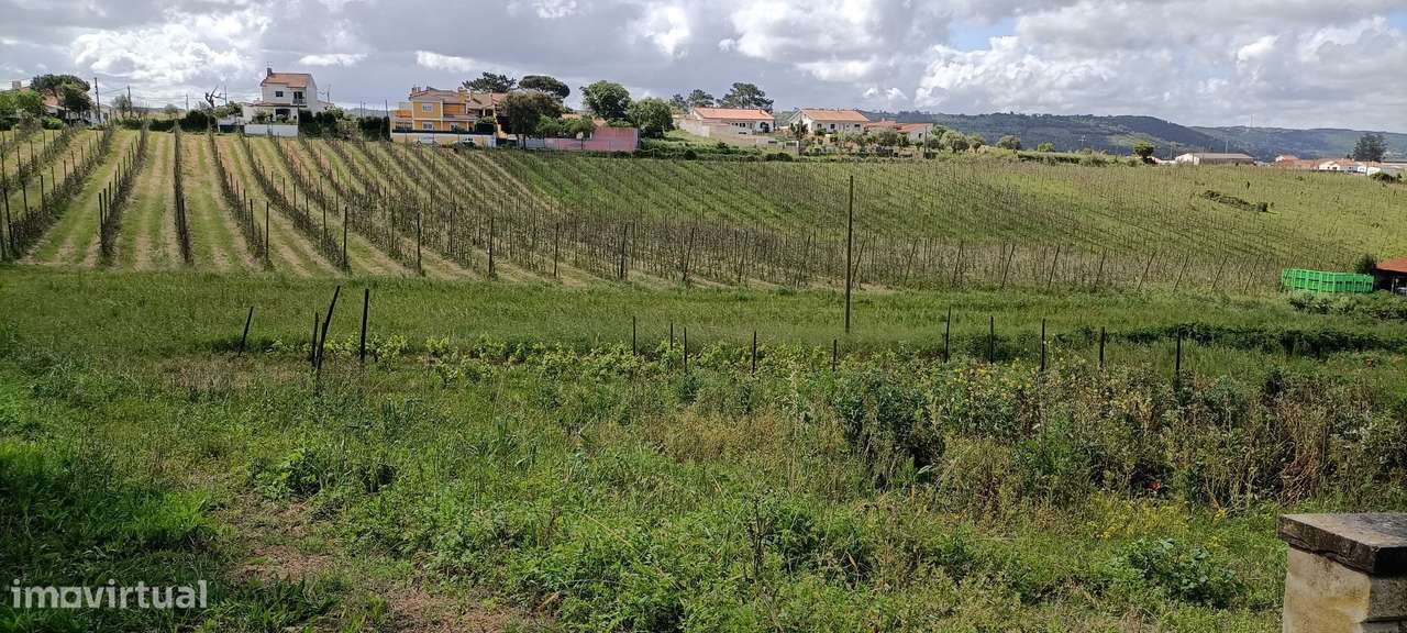 Quintinha Valado Frades Nazaré -Leiria-5