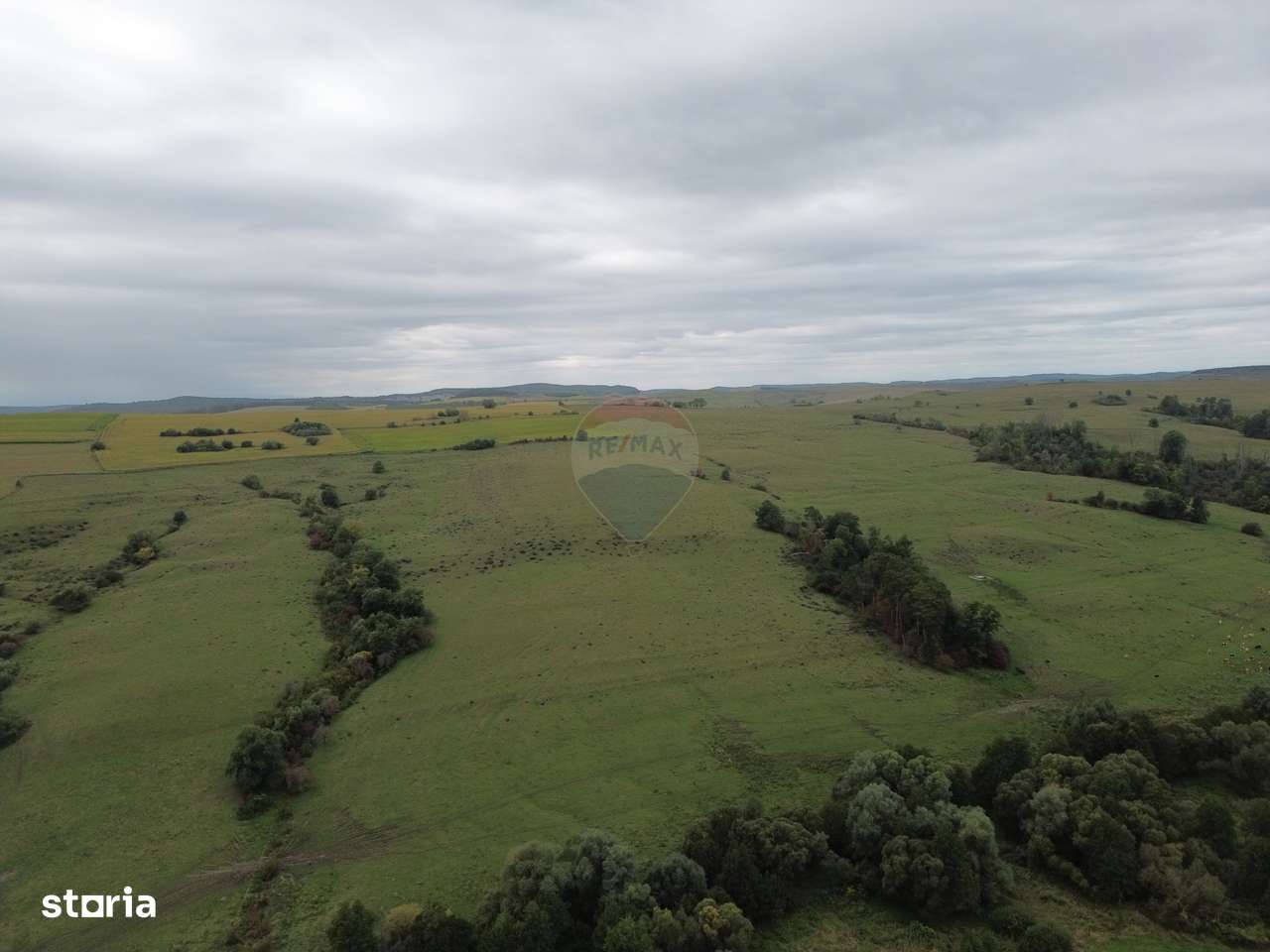 Teren de vanzare, 65 hectare - Agnita - Imagine principală: 5/8