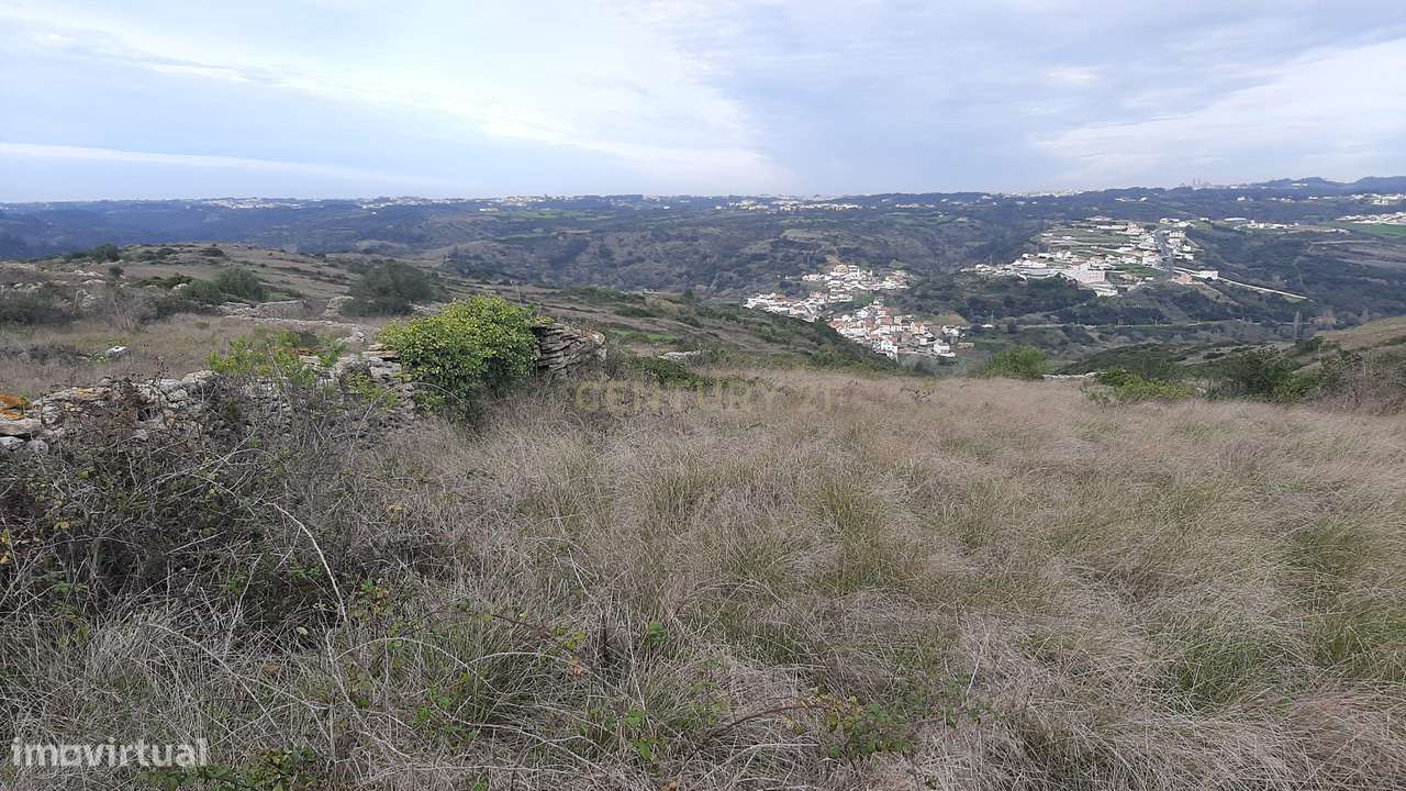 Terreno Rústico em Funchal - Sintra - Grande imagem: 4/12