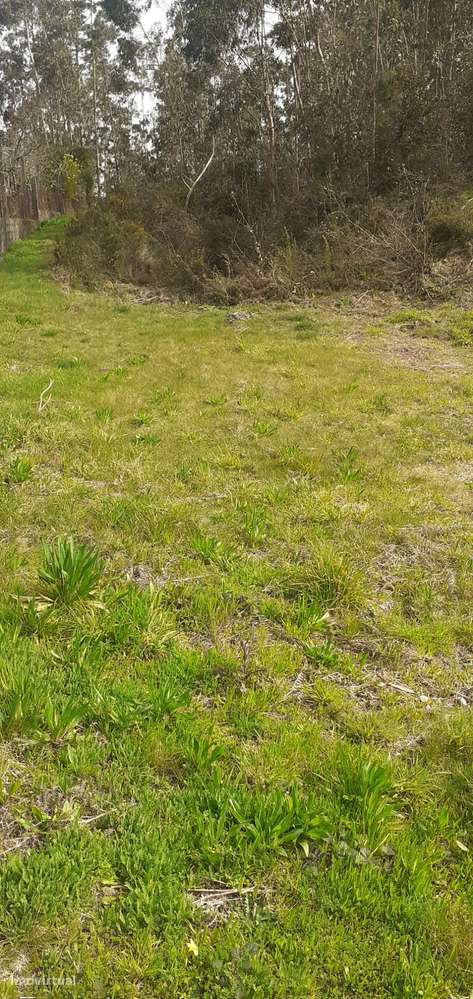 Terreno urbanizável em Sanguedo, Santa Maria da feira-6