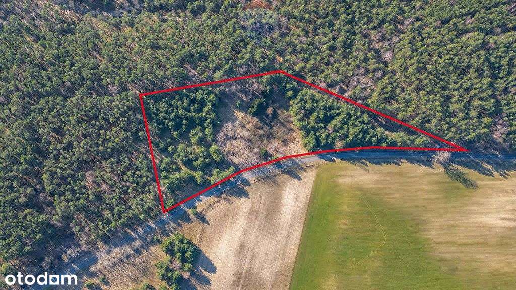 Działka rolna Kuźnica Żelichowska jezioro widoki - Pełny obrazek: 2/6