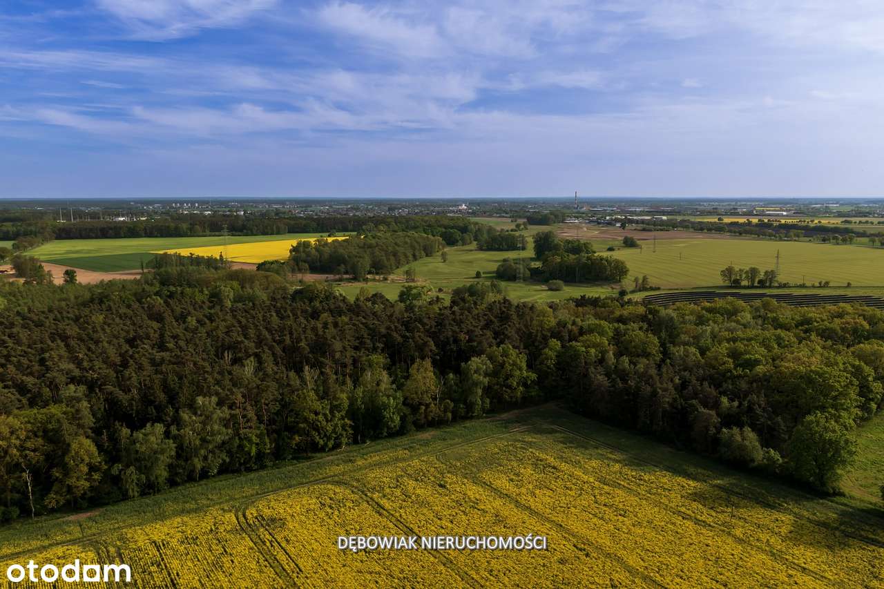 II etap sprzedaży / Atrakcyjne nowe osiedle w Gronówku / blisko Leszna-12