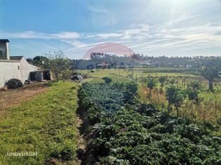 Terreno  para venda - Grande imagem: 4/7