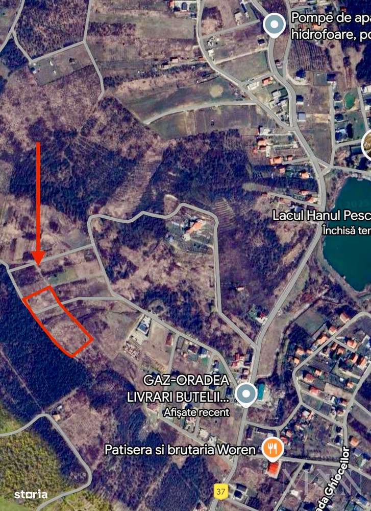 Teren - investiție | 7 parcele | Saldabagiu de Munte/ Hanul Pescarilor - Imagine principală: 4/12