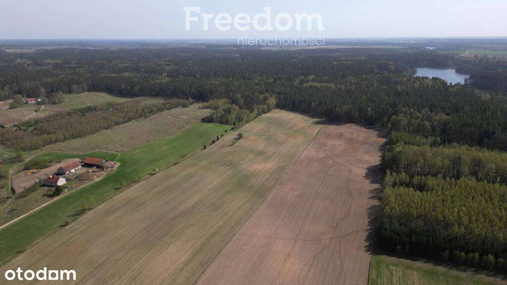 Mazury działka rolna Drwęck - Pełny obrazek: 5/11