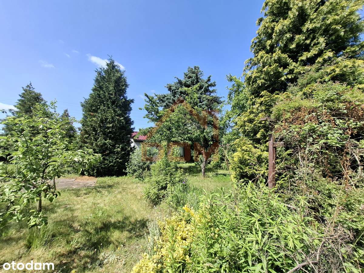 Działka Rod - Pełny obrazek: 4/6