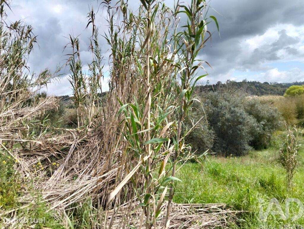 Terreno em Outeiro da Cortiçada e Arruda dos Pisões de 1540,00 m2 - Grande imagem: 3/24