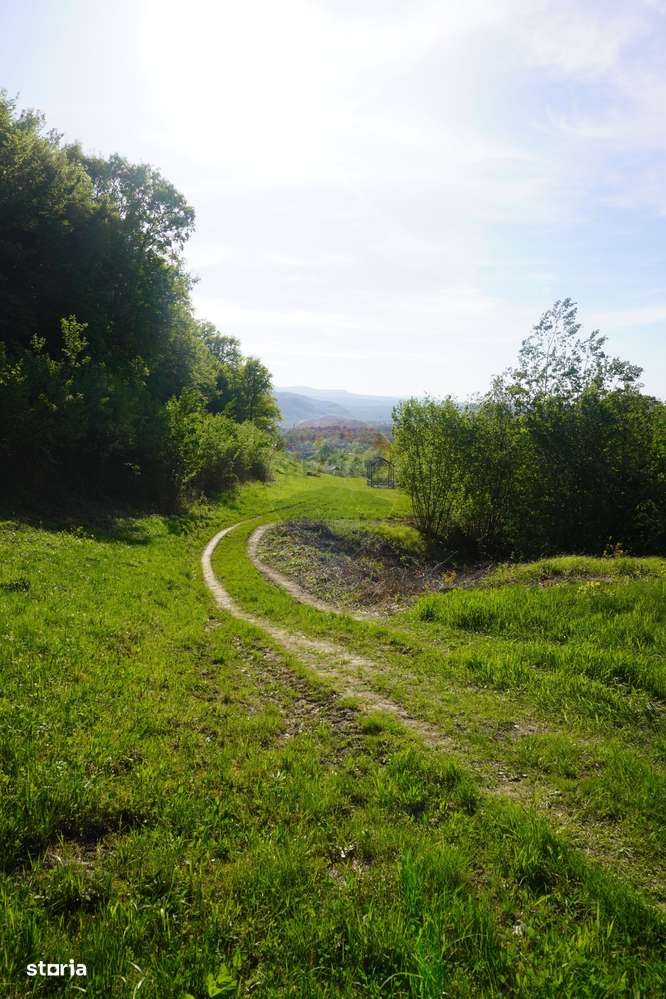 Teren 33,137mp Sighetu Marmatiei / Strada Mocăniței - Imagine principală: 2/11