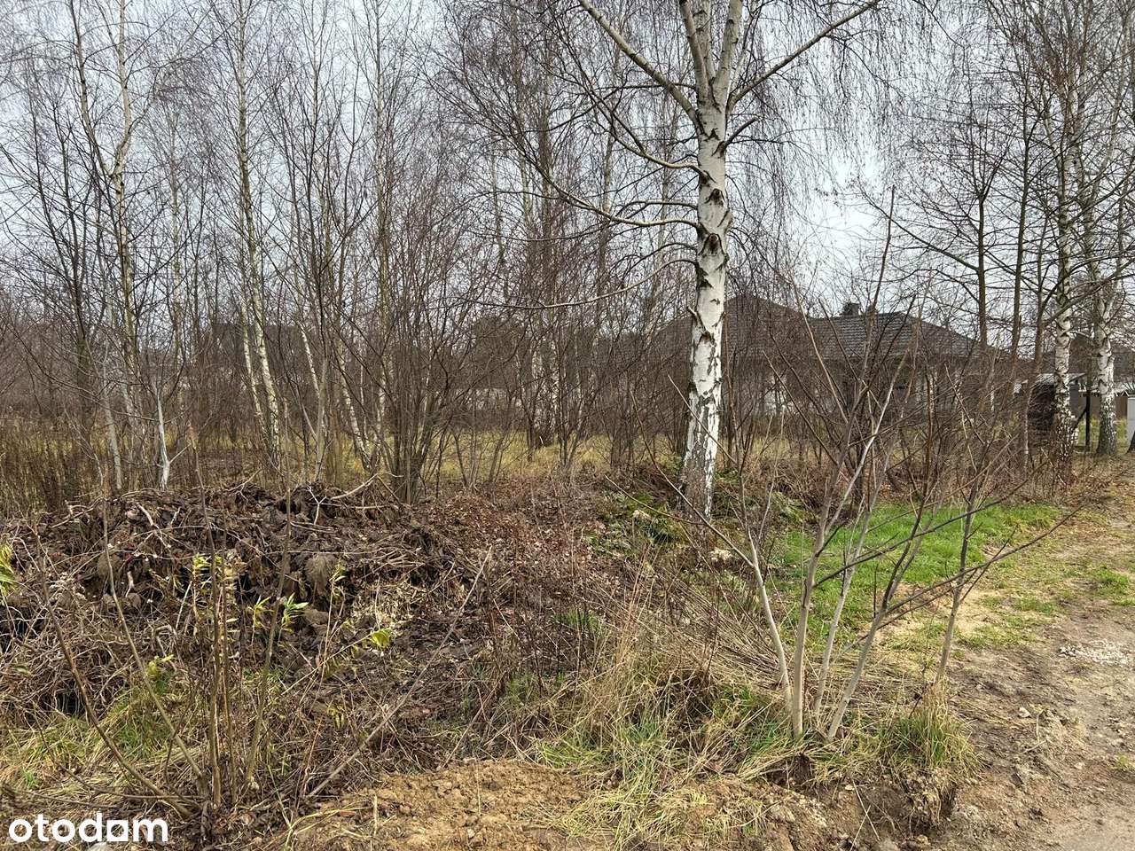 Granice-Teresin, ul. Rajska | 888 m² | MPZP | dojazd, infrastruktura - Pełny obrazek: 3/8