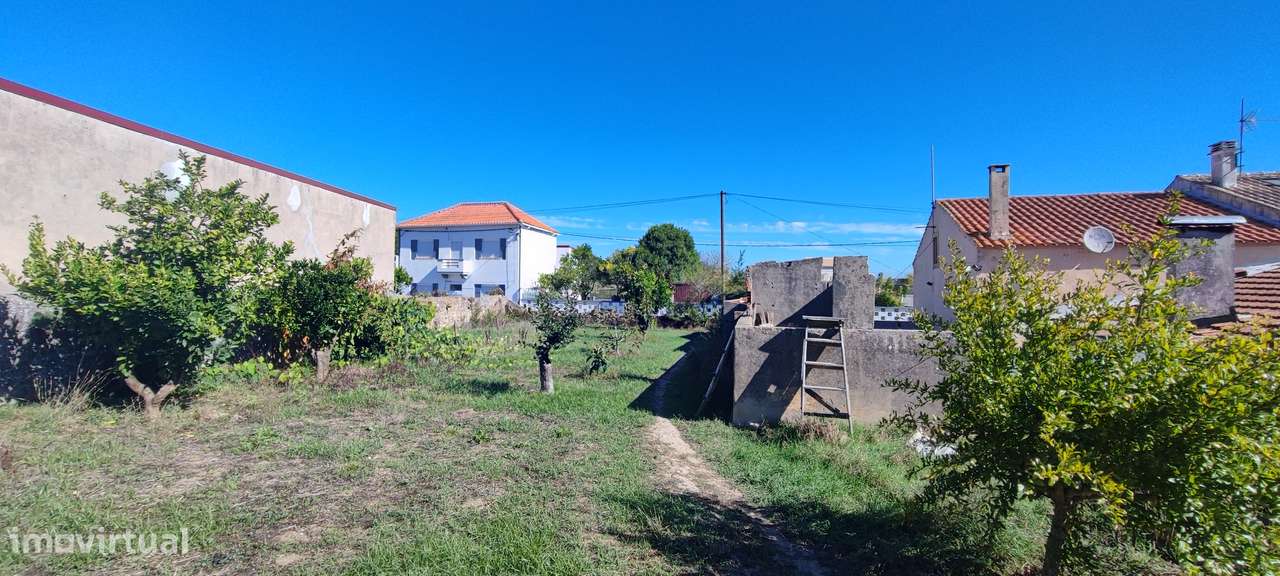 Casa de Habitação com Grande Terreno a 9 minutos da Figueira-27