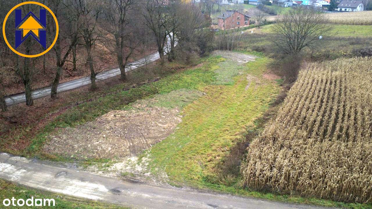 TYLKO U NAS: Działka, 26ar, wydane WZ pod zabudowę zagrodową-2