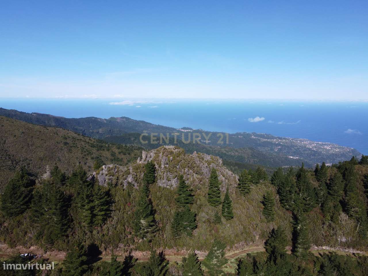 Terreno Laurissilva - Santana - Grande imagem: 3/15