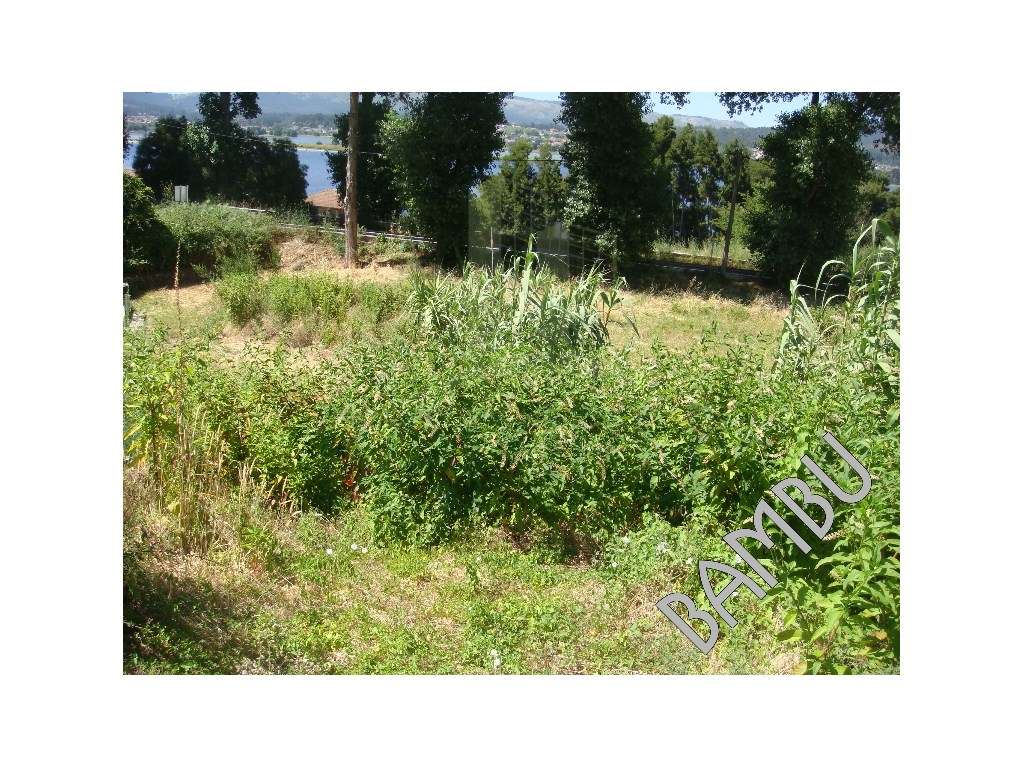 Loteamento em Seixas - Grande imagem: 5/14