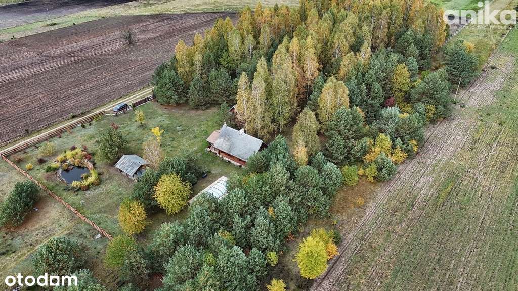 Piękna rekreacyjna nieruchomość - Pełny obrazek: 4/19