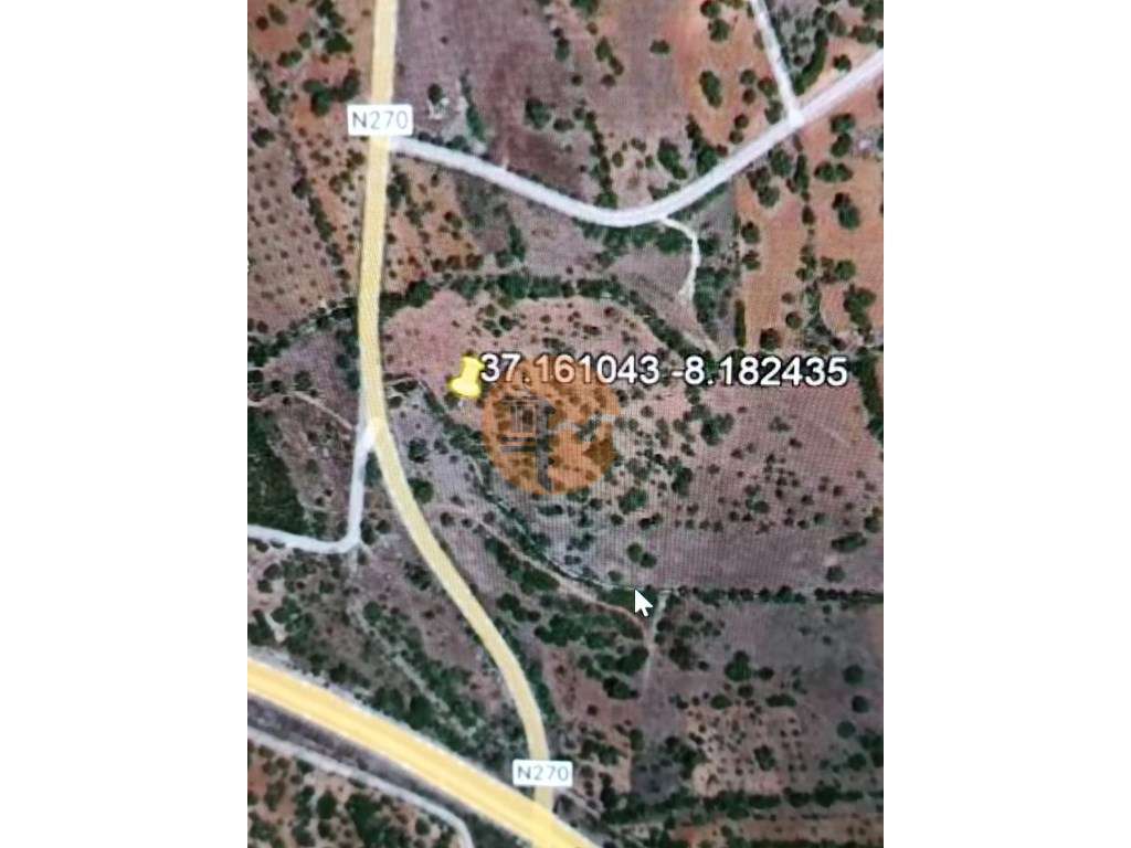 TERRENO RÚSTICO COM 11.200 M2 - PADERNE - ALBUFEIRA - ALGARVE-12