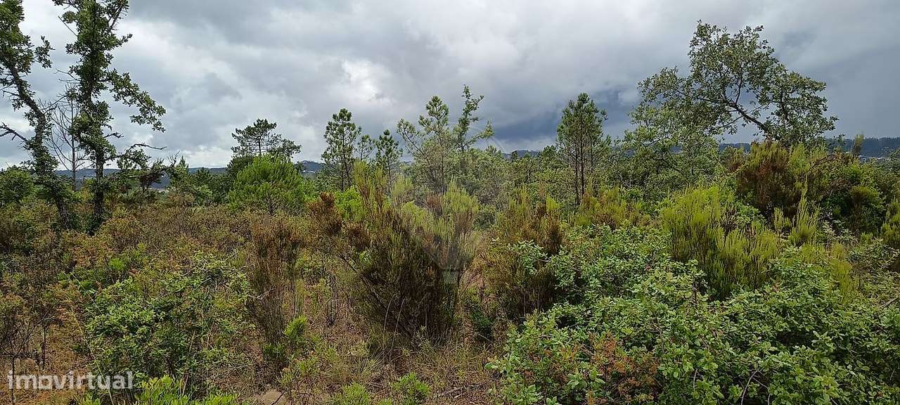 Terreno  para venda-3