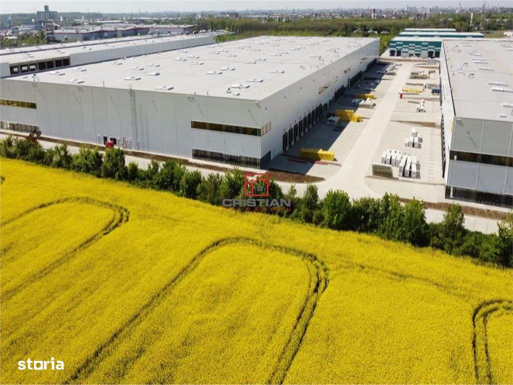 Inchiriere depozithala Stefanesti - Afumati - Centura, Ilfov - Imagine principală: 1/11