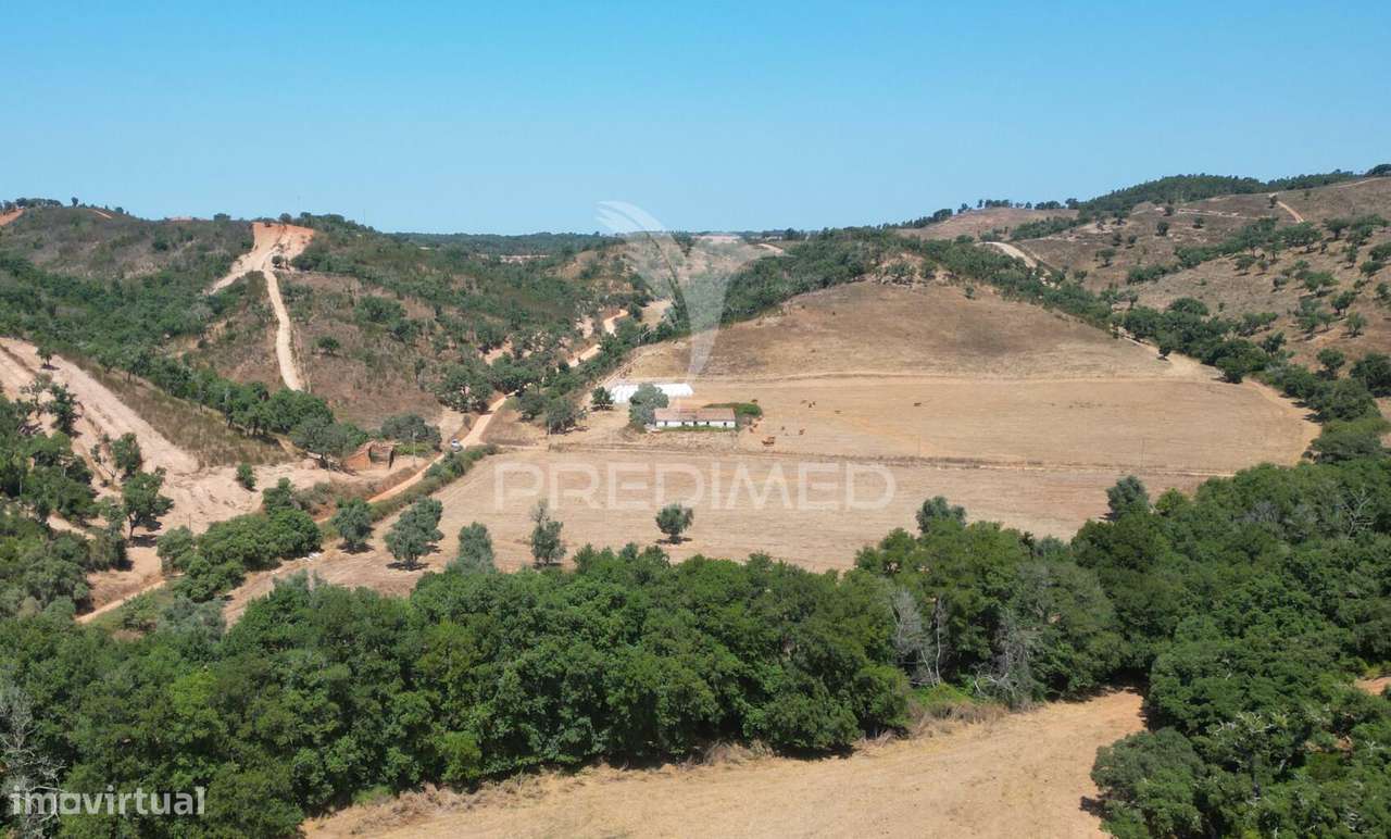 Herdade com 36,9000 ha a 3 Km do Pego das Pias - Grande imagem: 5/40