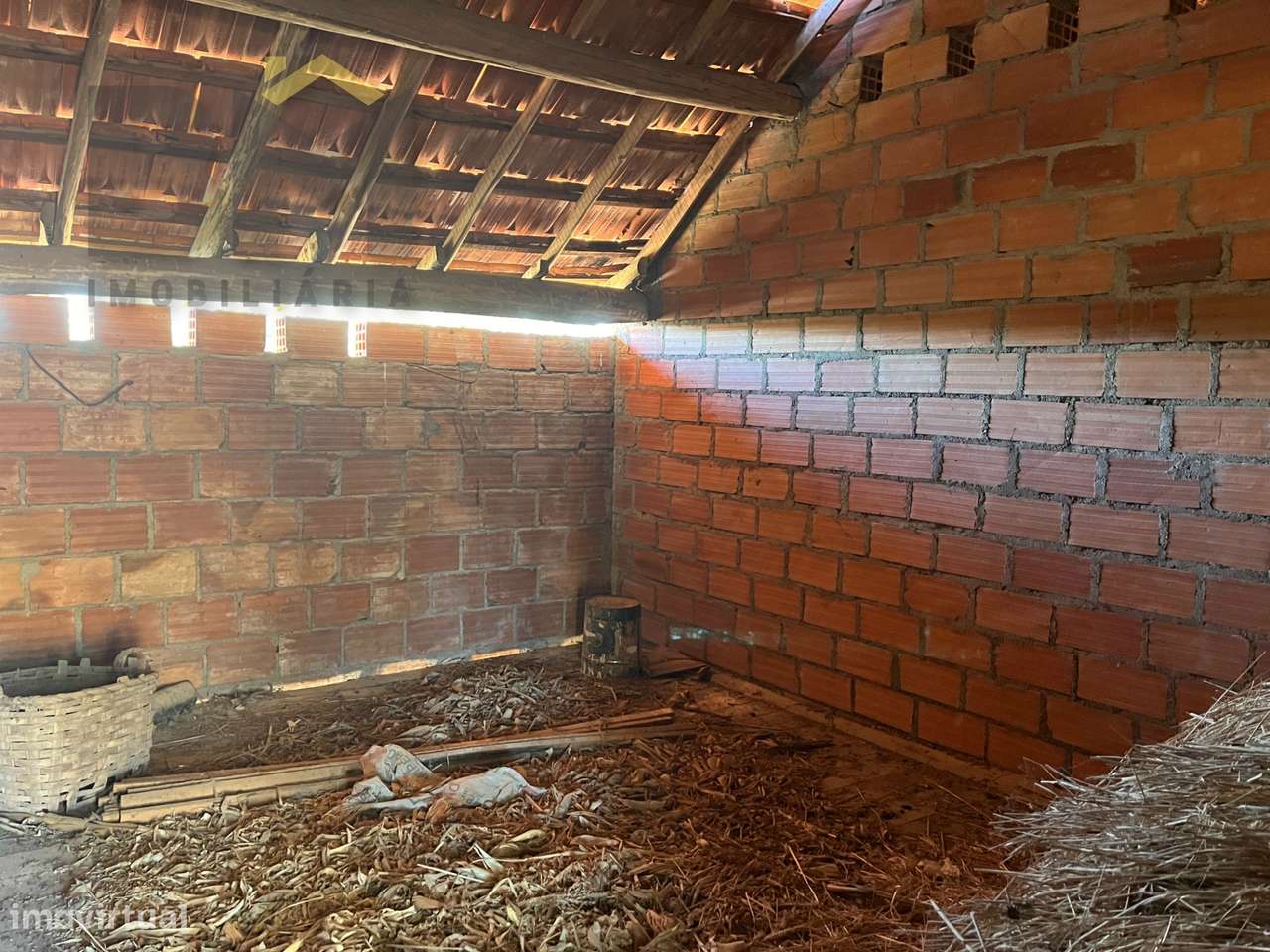 Moradia T3 Venda em Santo André das Tojeiras,Castelo Branco-27