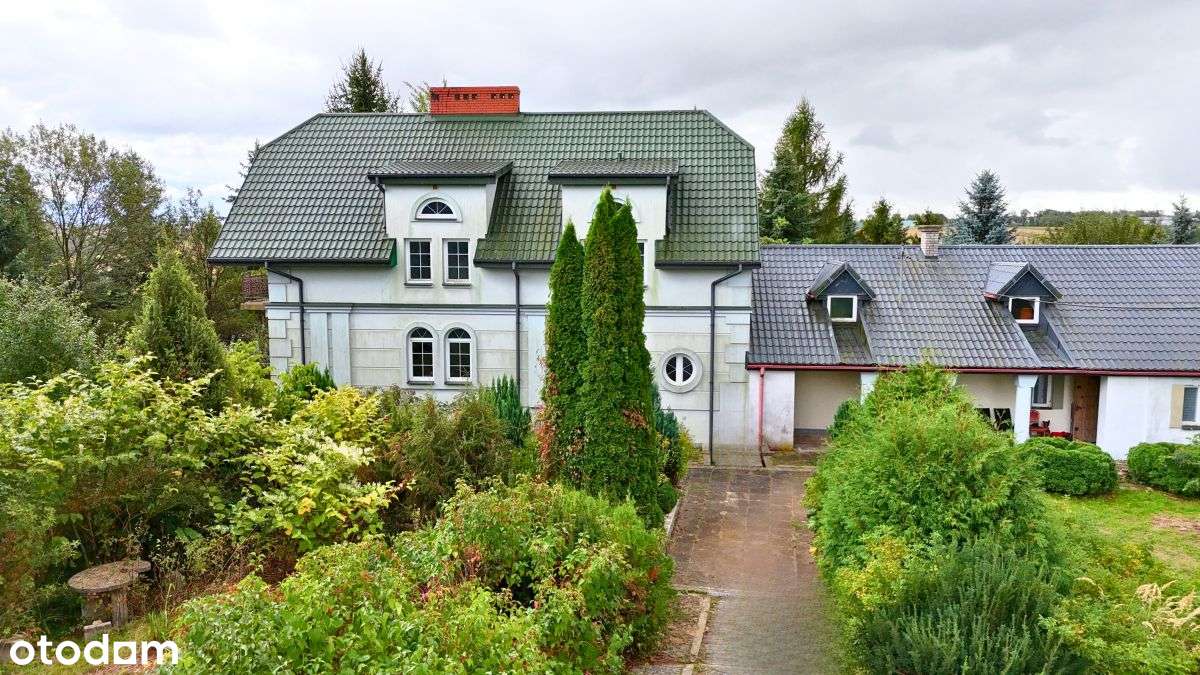 692482 - Pełny obrazek: 4/20