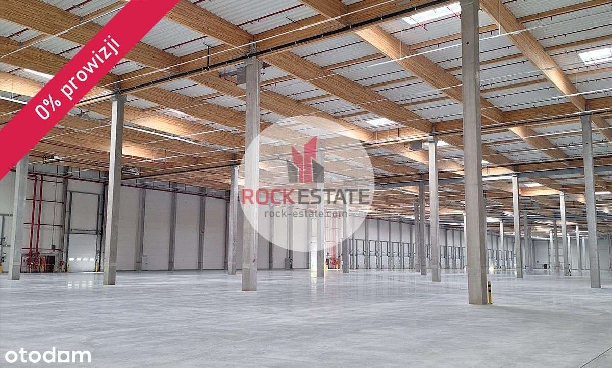 Nowy magazyn 4200 m2 przy A2 - 0% prowizji - Pełny obrazek: 5/8
