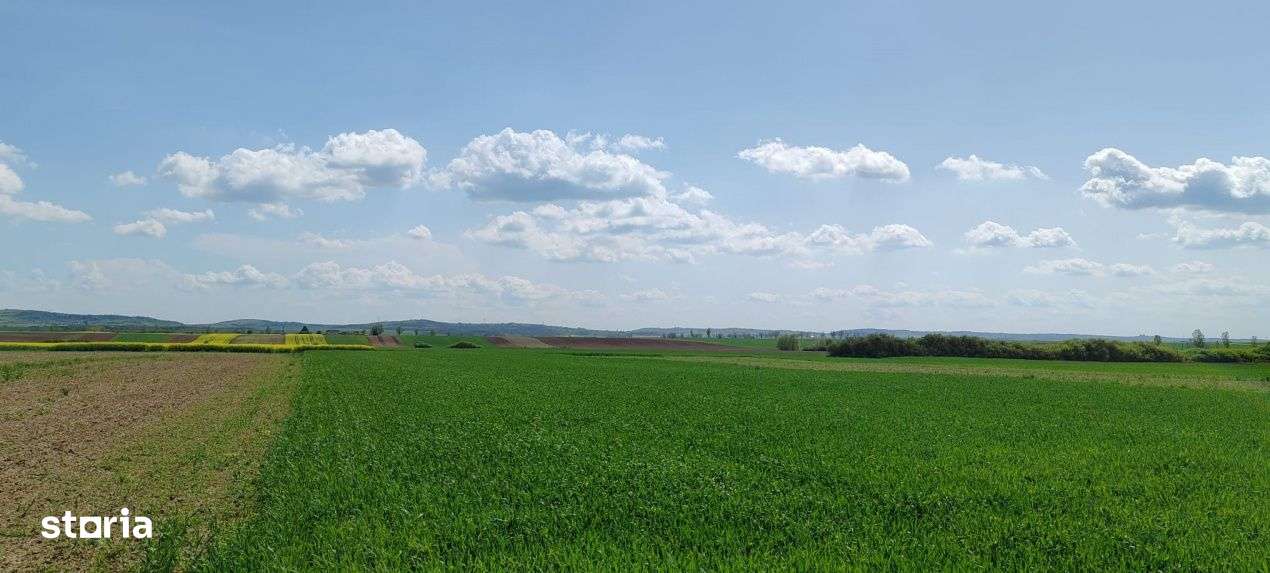 Casa si teren generos – sat Ciuhoi, comuna Saniob, judetul Bihor-6