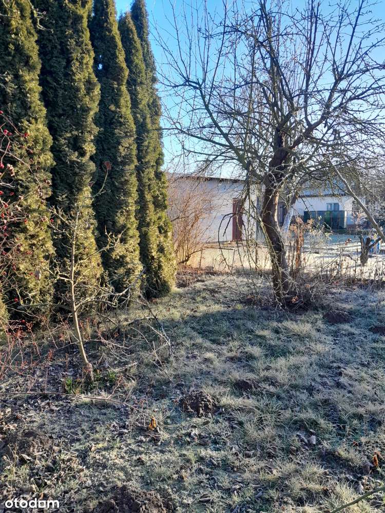 Okazja!Działka ROD ul.Taczaka/Derdowskiego 27tys zł-3