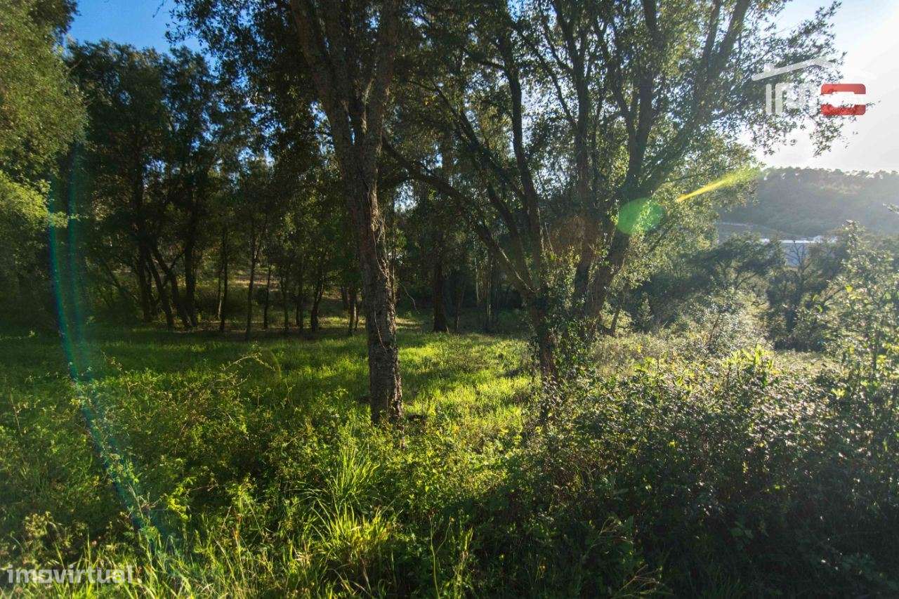 Terreno para construção, de moradia. - Grande imagem: 4/5