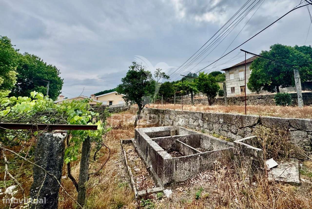 Moradia T3 Independente - Pevidém - Grande imagem: 5/30