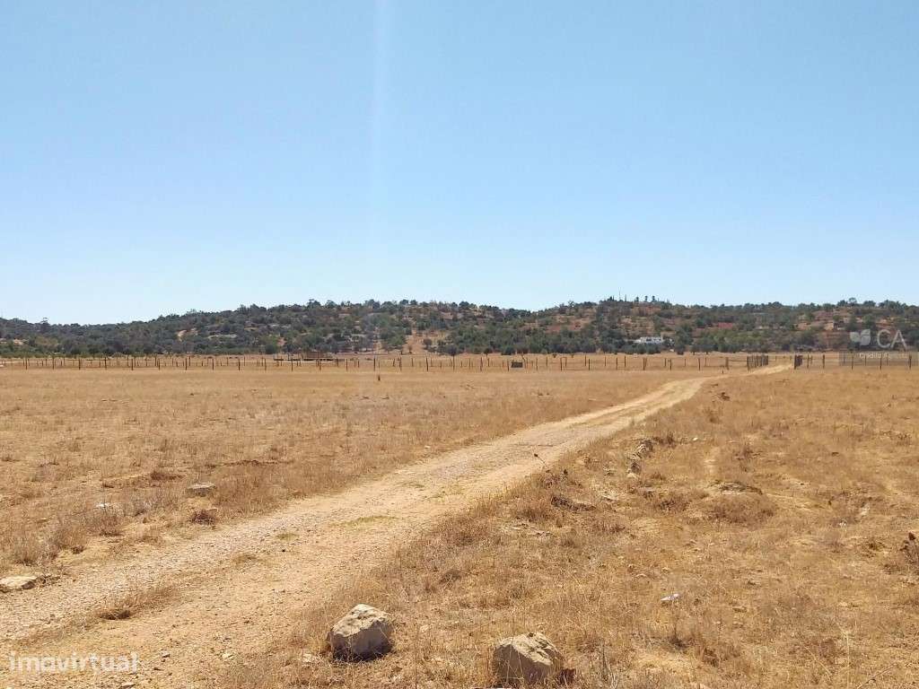 Terreno rústico com 8.980m², situado em Várzea do Poço da Figueira,... - Grande imagem: 2/4