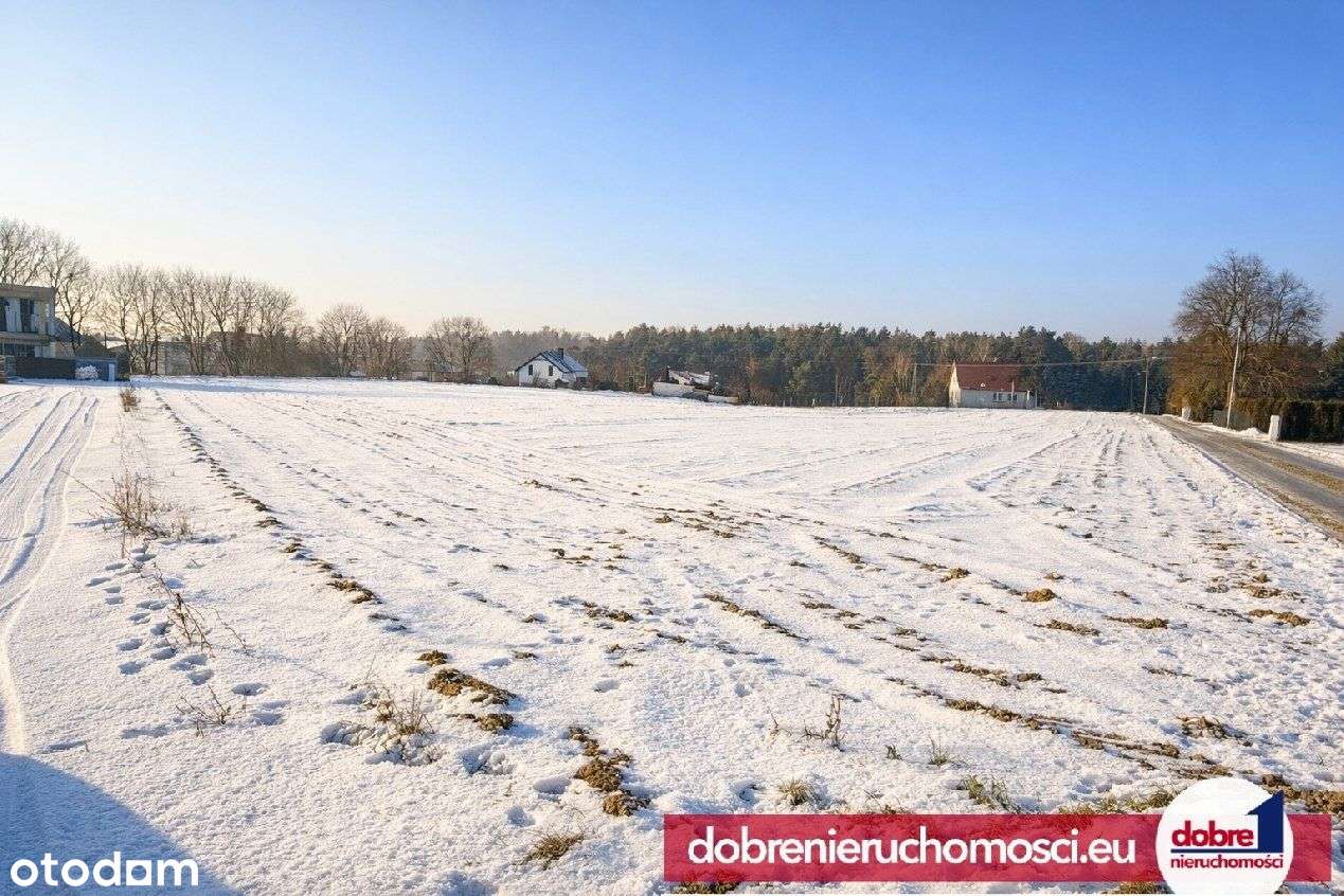 Działka 883m2 w pięknym miejscu Żołędowo