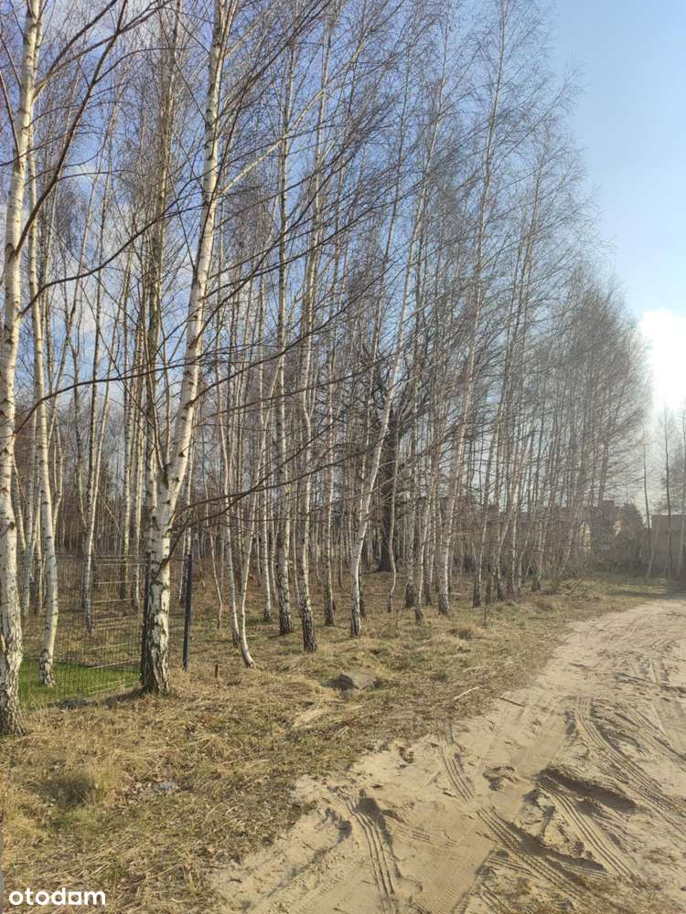 Działka budowlana 1060m2/Aleksandrów Łódzki - Pełny obrazek: 2/5