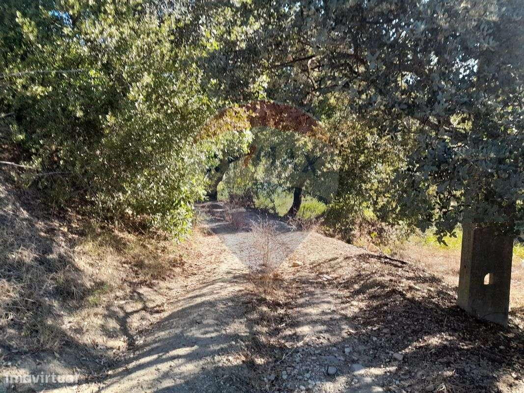 Terreno  para venda - Grande imagem: 5/5