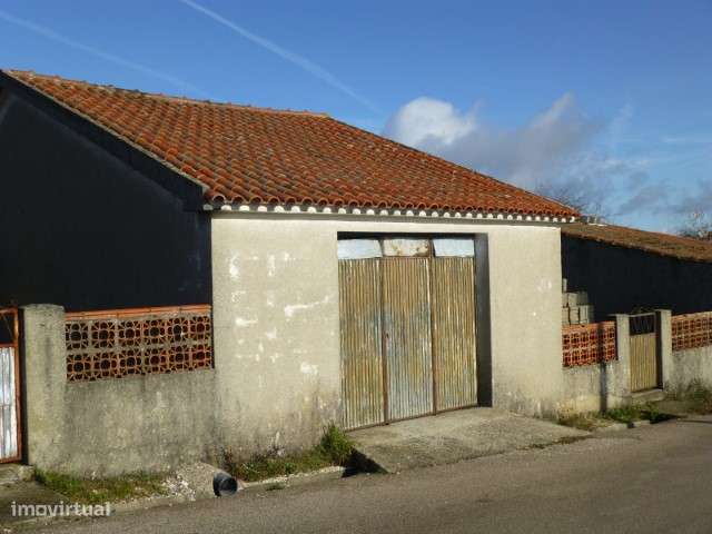 Garagem com Terraço e Quintal - Cepos (Arganil)-9