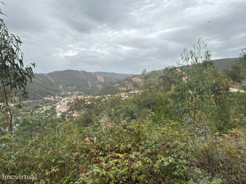 Terreno para construção em Ceira - moradia independente-15