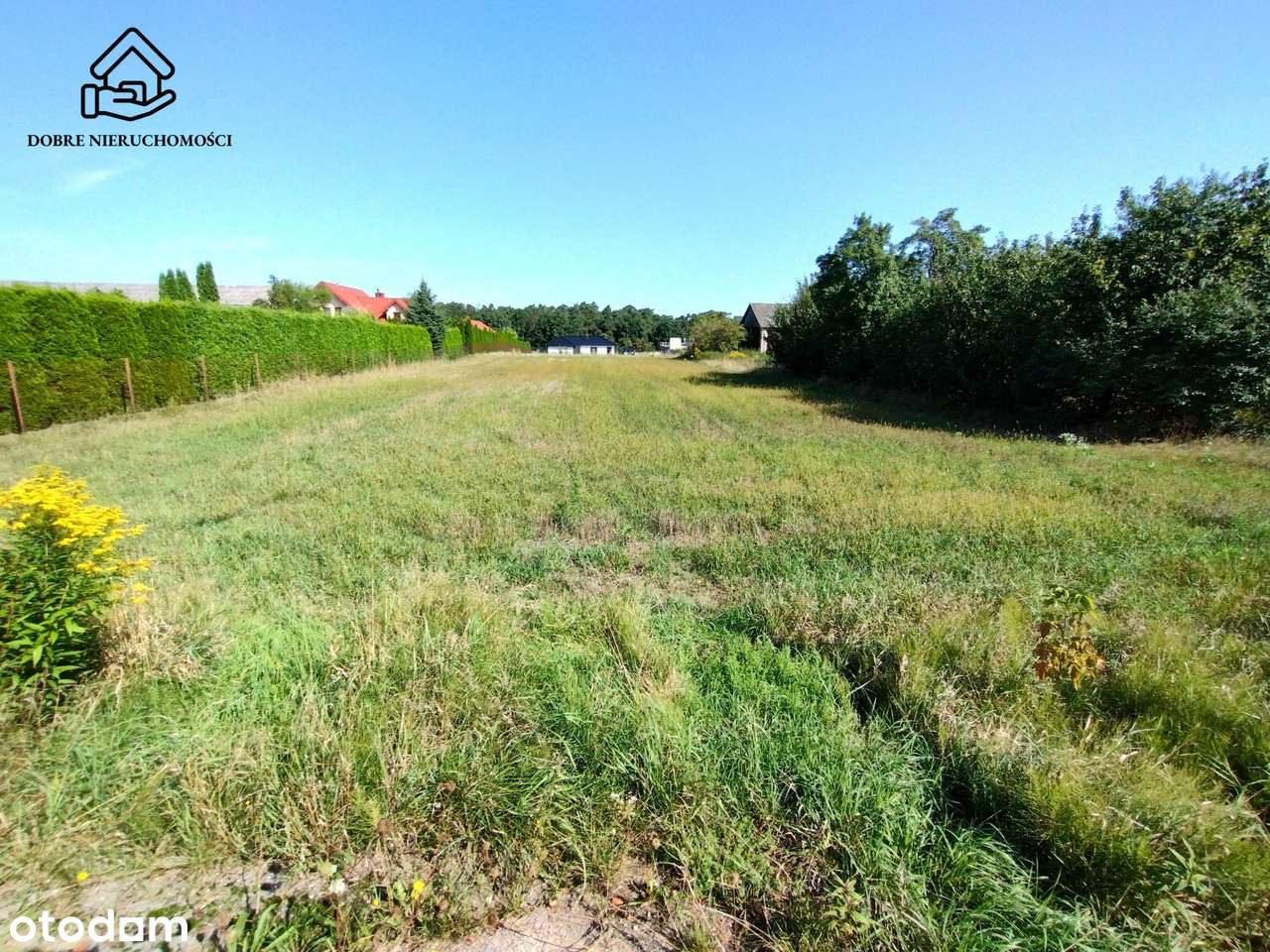 19a działka budowlana blisko lasu - Prawiedniki - Pełny obrazek: 4/4